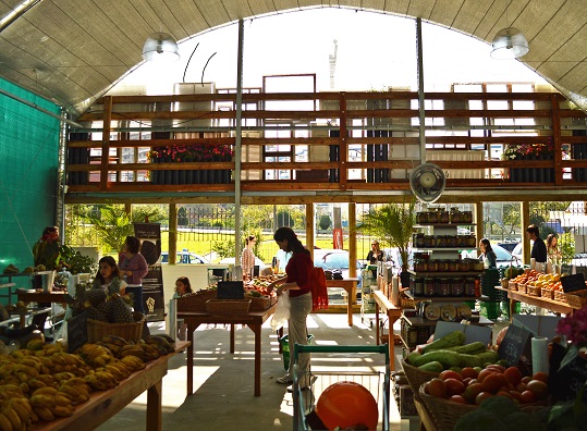 Mercado é referência de produtos orgãnicos na região