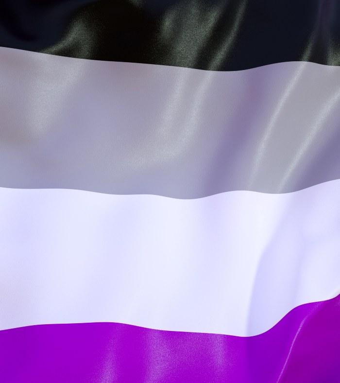 bandeira assexual 