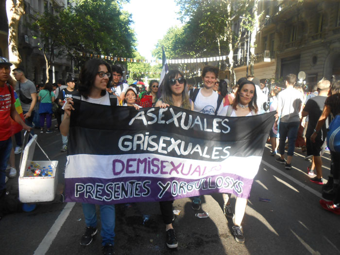 28ª Parada LGBT de Buenos Aires - Marcha del Orgullo 2019 - melhores fotos gays