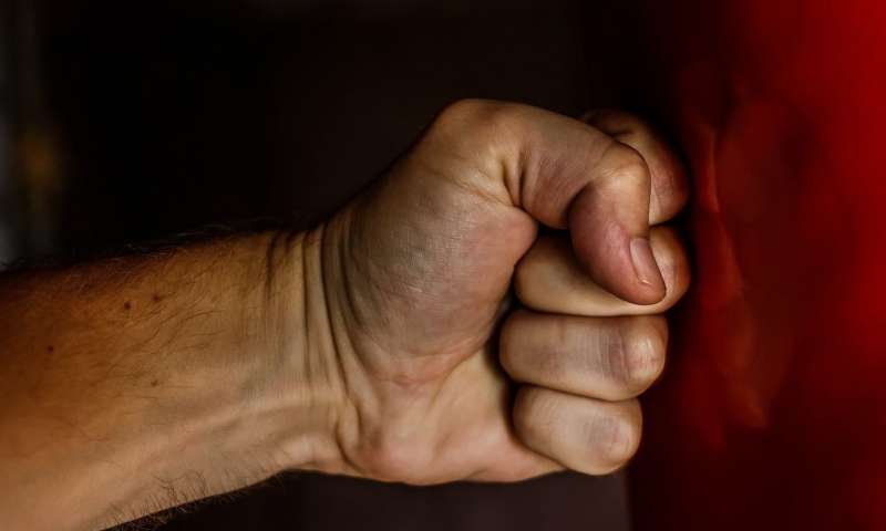 Casal gay é agredido ao tentar defender mulher em festa