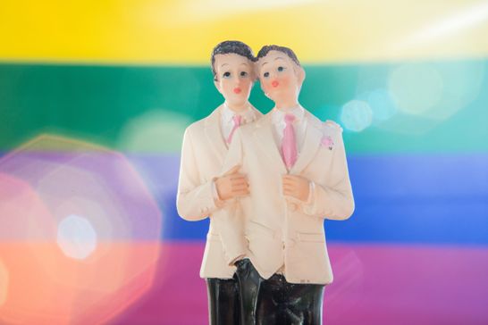 Em um ano, Brasil teve pelo menos mil casamentos homossexuais